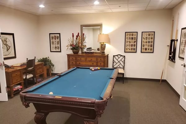Interior common area with a pool table and decor