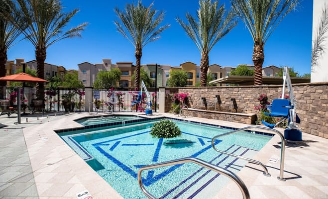 Swimming pool with a spa and palm trees