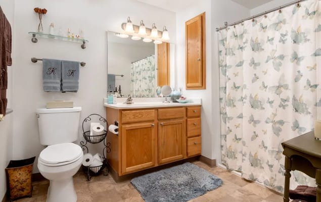 Well-equipped bathroom with modern fixtures and decorative accents