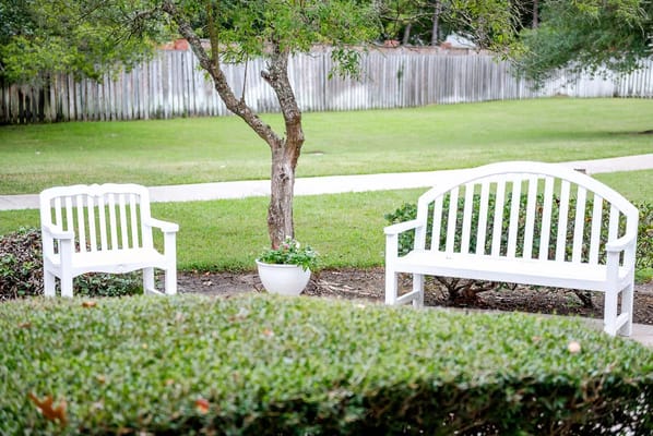 White benches under a tree in a green garden area