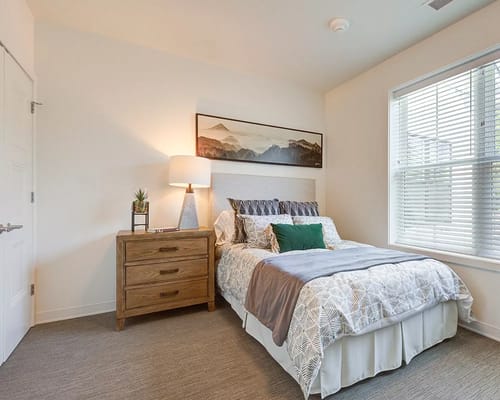 1 Bed