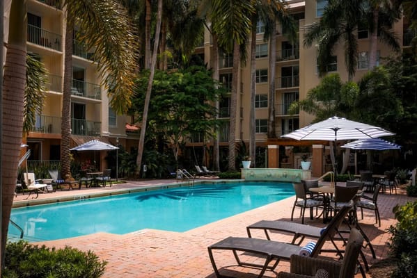 Outdoor swimming pool area surrounded by palm trees