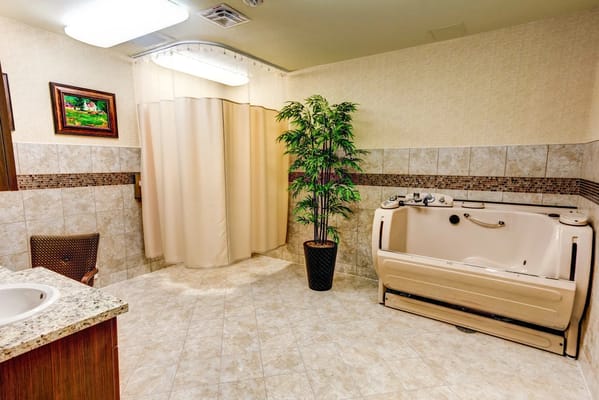 Modern bathroom with accessible bathtub and decorative plant