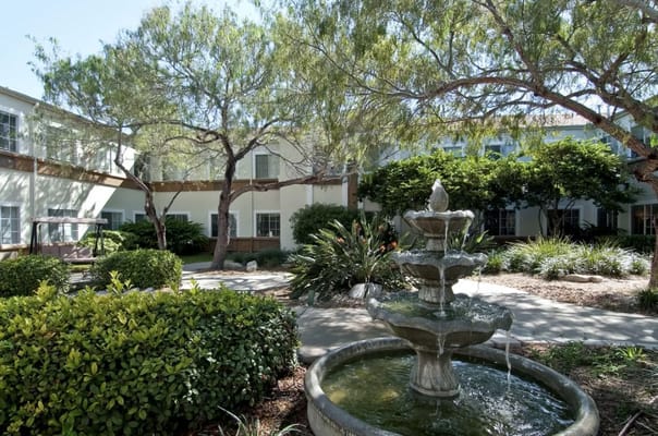 Fountain surrounded by lush greenery in the garden.
