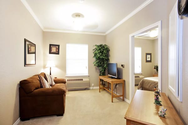 Living room with a couch, TV, and decorative plants