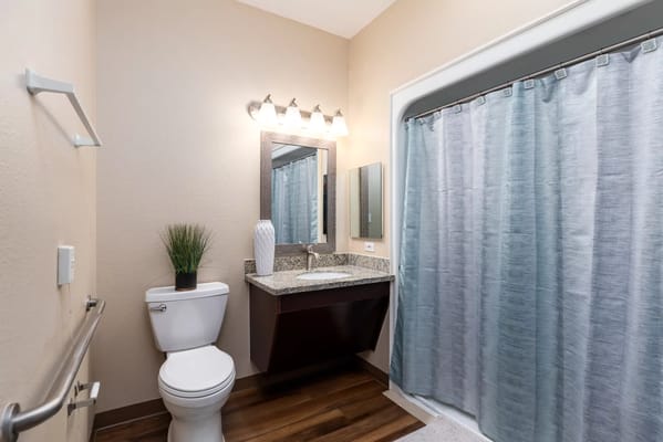 Modern bathroom with a shower and vanity