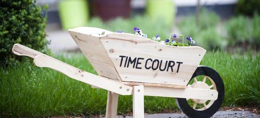 Wooden wheelbarrow with flowers in the garden