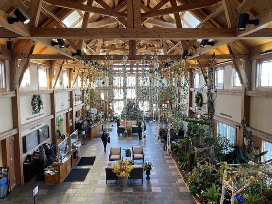 Spacious lobby with wood beams and greenery