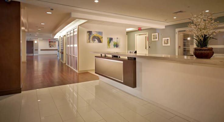 Bright reception area with a counter and artwork on the walls.