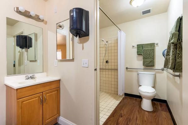 Bathroom with a sink, mirror, toilet, and shower