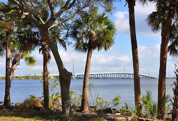 View of the river with palm trees and a bridge in the background