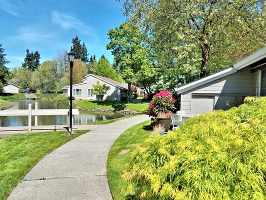 Walking path alongside a pond with buildings and flowers