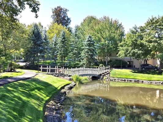 Scenic view of a bridge and pond in an outdoor space