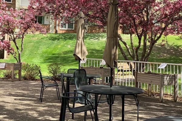 Outdoor seating area with tables and umbrellas surrounded by blooming trees.