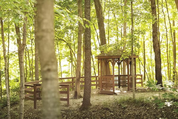 Wooden gazebo in a wooded area