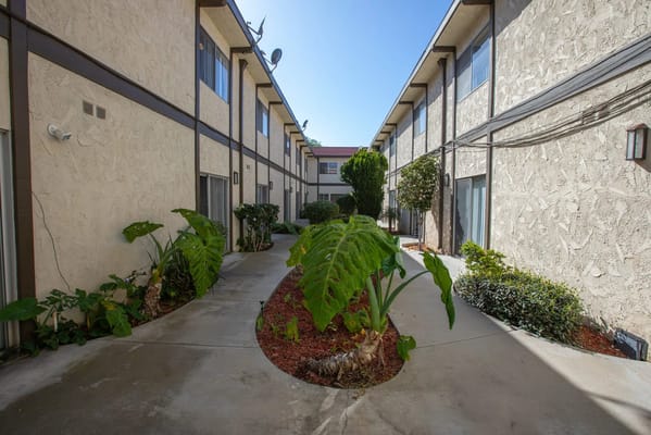 Courtyard with plants and walkways in an assisted living facility