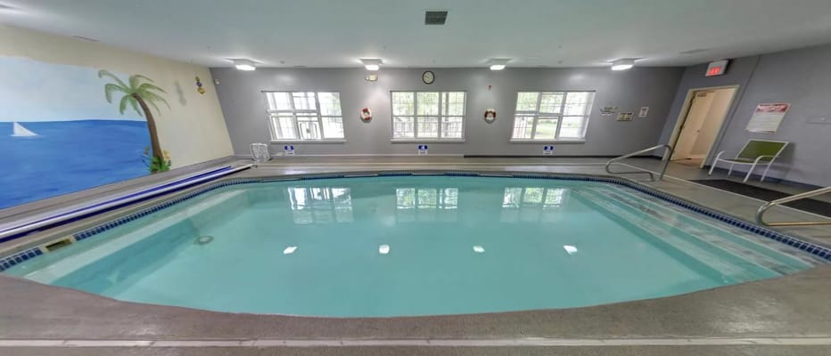 Indoor swimming pool with a palm tree mural