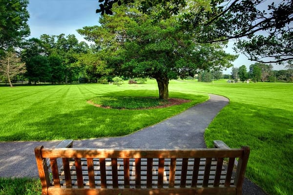 Scenic view of a landscaped outdoor area with a bench