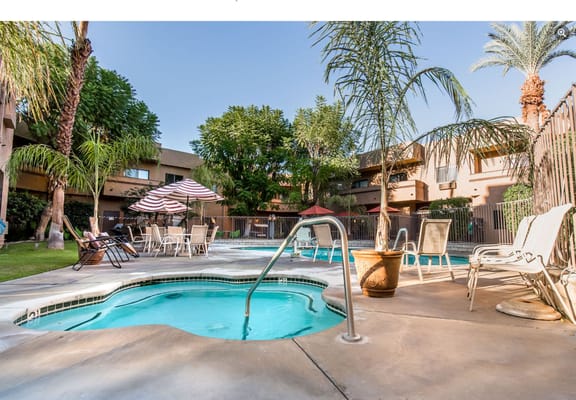 Outdoor pool area with lounge chairs and palm trees