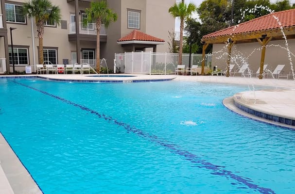 Outdoor swimming pool with loungers and palm trees