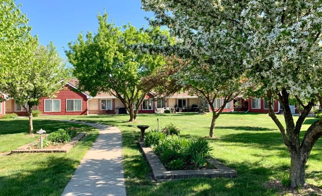 Pathway through a beautifully landscaped outdoor area