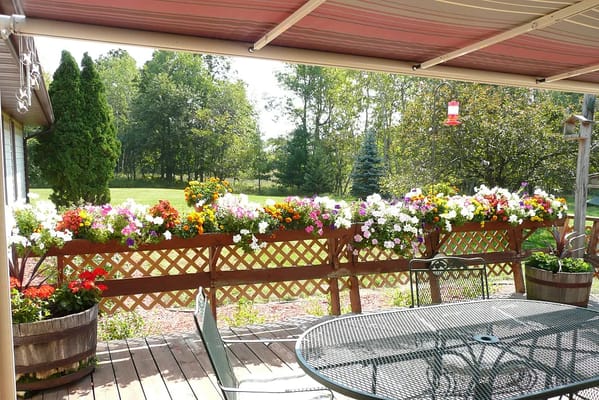 Flower garden visible from a covered patio