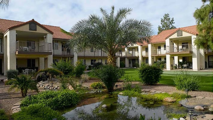 Outdoor view of a serene courtyard with palm trees