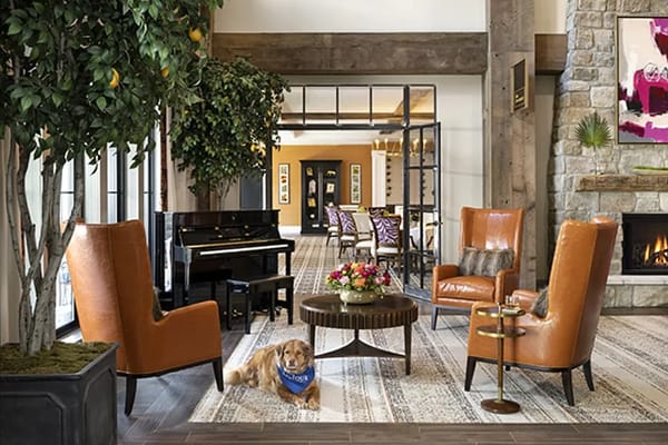 Bright common area with seating and a dog