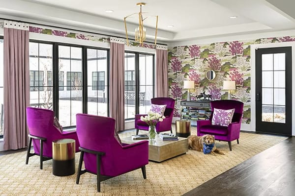 Bright common area with colorful chairs and a dog