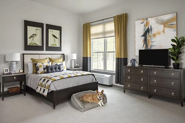 Brightly decorated resident room with a dog sleeping