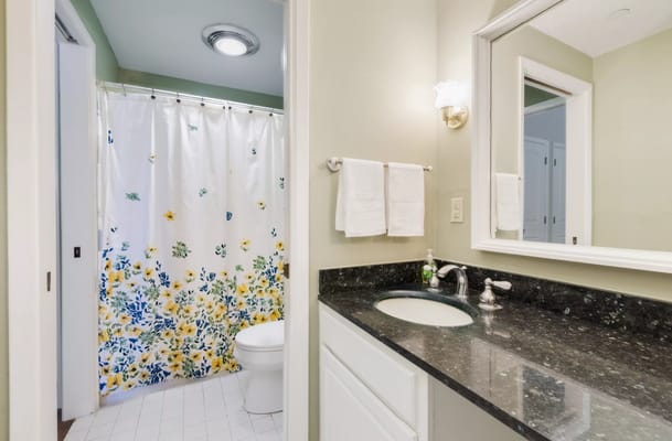 A well-lit bathroom featuring a floral shower curtain and a dark countertop.