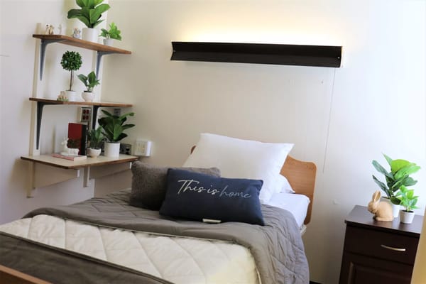 A comfortable bedroom with a bed, decorative pillows, and plants