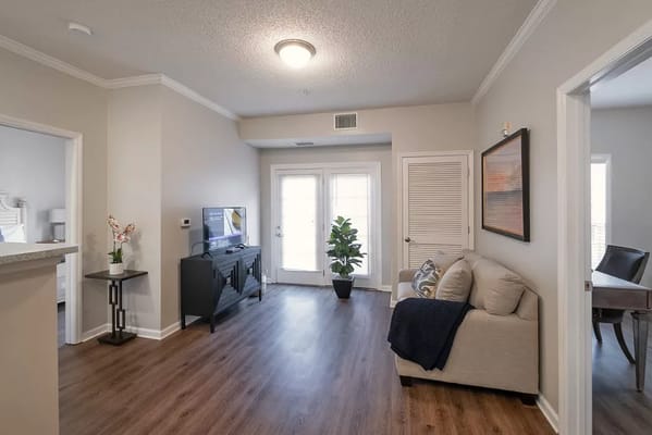 Cozy living room featuring a sofa, TV, and plant.
