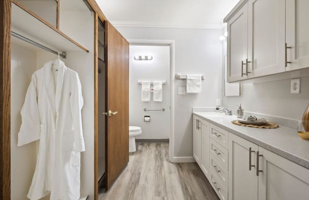Well-designed bathroom with a robe hanging in the closet and modern fixtures.