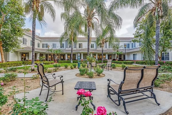 Outdoor garden area with seating and palm trees