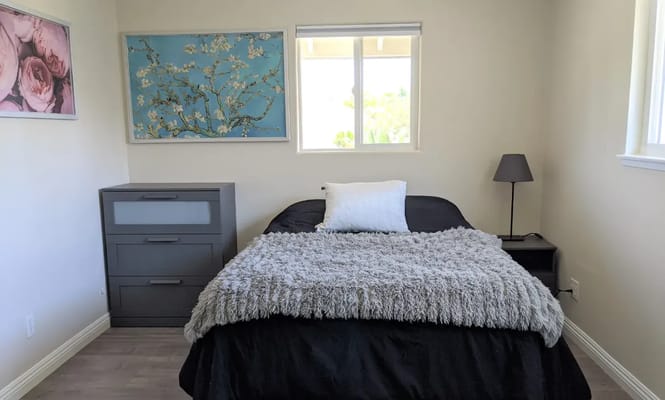 Cozy resident room with bed and decorative wall art