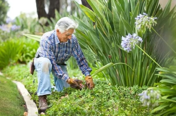 A resident tending to a garden in the facility