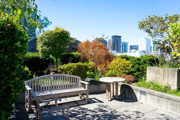 Patio seating area surrounded by greenery