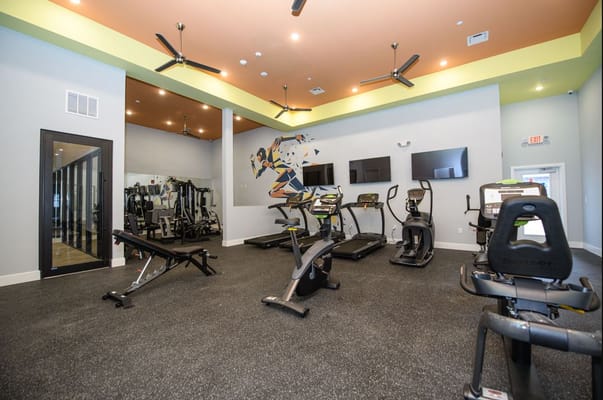 Well-equipped fitness room with exercise equipment