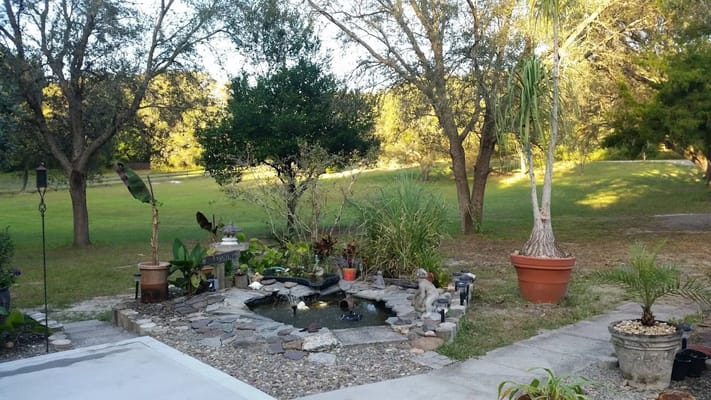 Serene outdoor garden area with pond and greenery