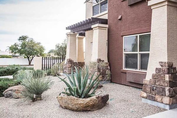 Desert landscape with plants and stone features at Solana at the Park