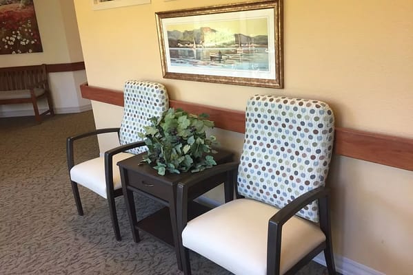 Two upholstered chairs and a table with decorative greenery in a hallway.