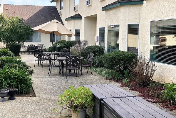 Patio area with tables and chairs surrounded by greenery