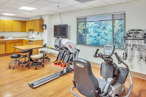 Interior view of a physical therapy room with equipment