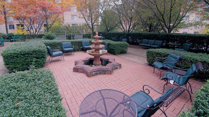 Beautiful outdoor garden area with a fountain