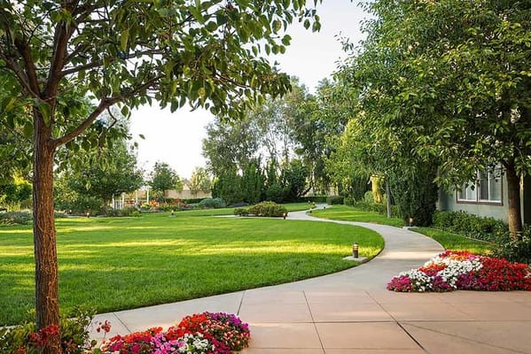 Curved pathway surrounded by greenery and flower beds