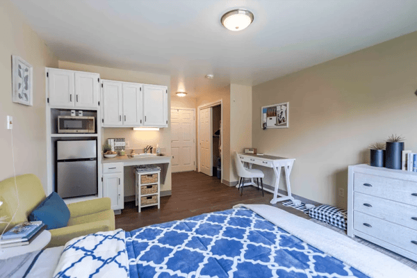 Cozy studio apartment with kitchenette and living space