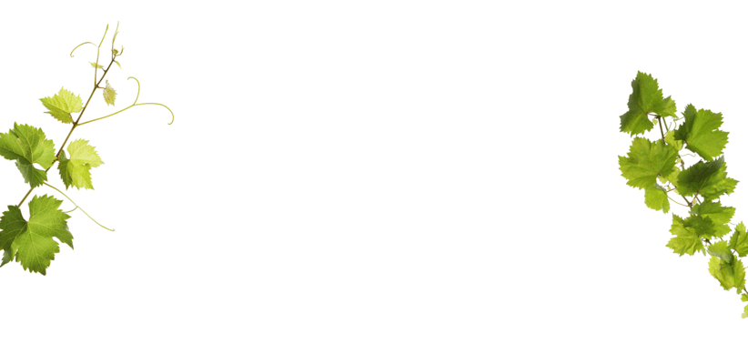 The Mapleton Assisted Living