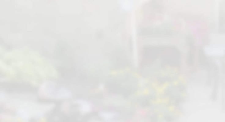 Silver Spring Gardens