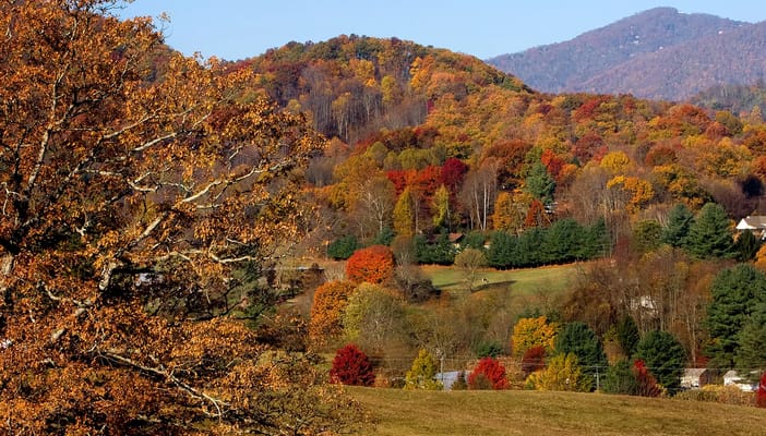 Givens Great Laurels